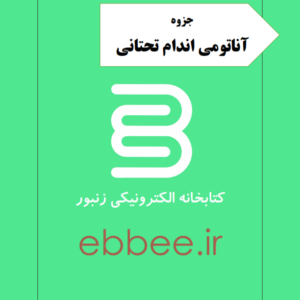 جزوه آناتومی اندام تحتانی-ebbee.ir