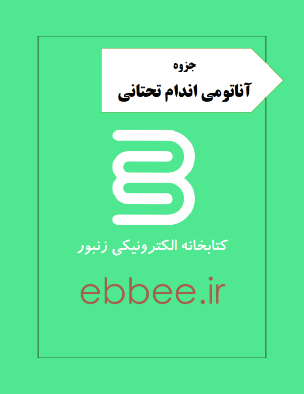 جزوه آناتومی اندام تحتانی-ebbee.ir