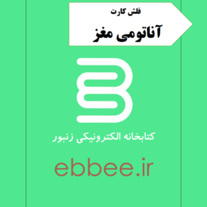 فلش کارت آناتومی مغز-ebbee.ir