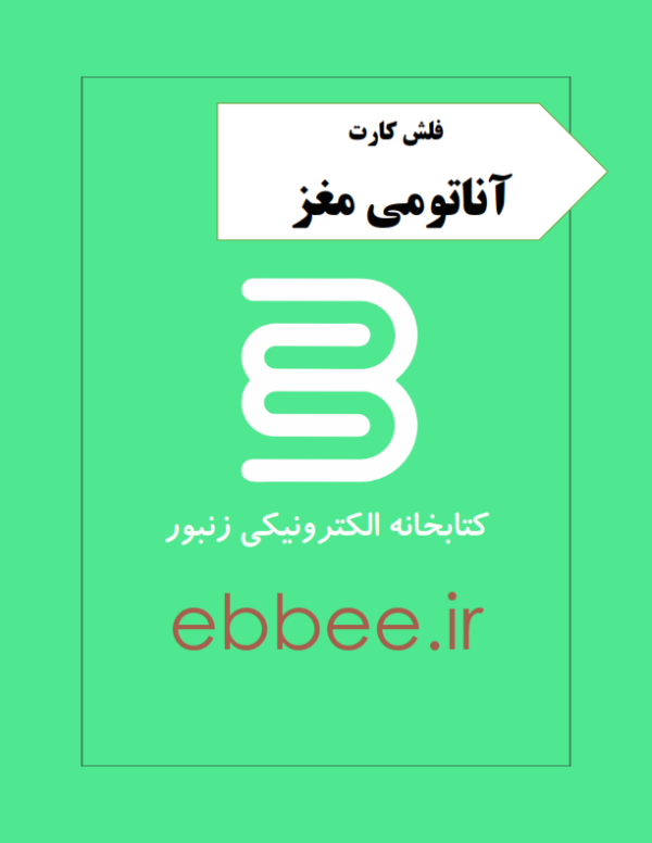 فلش کارت آناتومی مغز-ebbee.ir