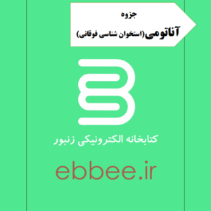 آناتومی استخوان شناسی فوقانی-ebbee.ir