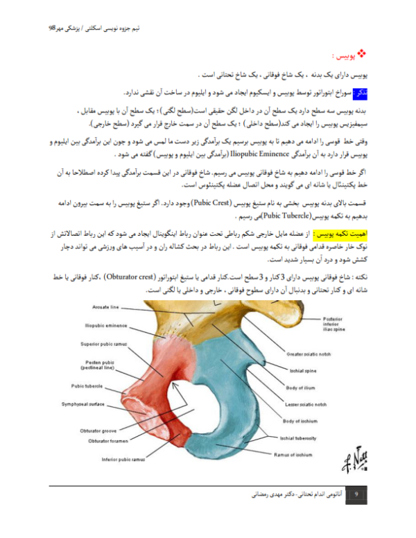 جزوه آناتومی اندام تحتانی-ebbee.ir