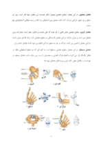 آناتومی رشته تربیت بدنی-ebbee.ir