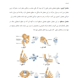 آناتومی رشته تربیت بدنی-ebbee.ir