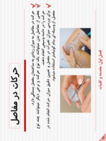 جزوه حرکت شناسی رشته تربیت بدنی-ebbee.ir