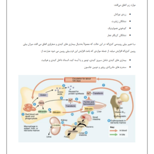 جزوه خلاصه بیوشیمی(ویژه شب امتحان)-ebbee.ir