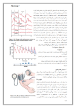 جزوه فیزیولوژی به همراه نمونه سوالات امتحانی-ebbee.ir