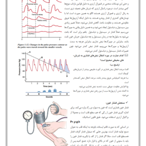 جزوه فیزیولوژی به همراه نمونه سوالات امتحانی-ebbee.ir