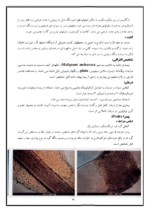 جزوه قارچ شناسی-ebbee.ir